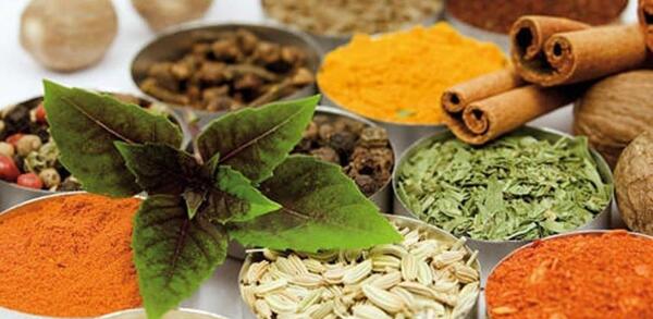 عکس گروه طب سنتی