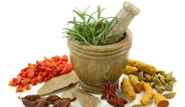 عکس گروه طب سنتی