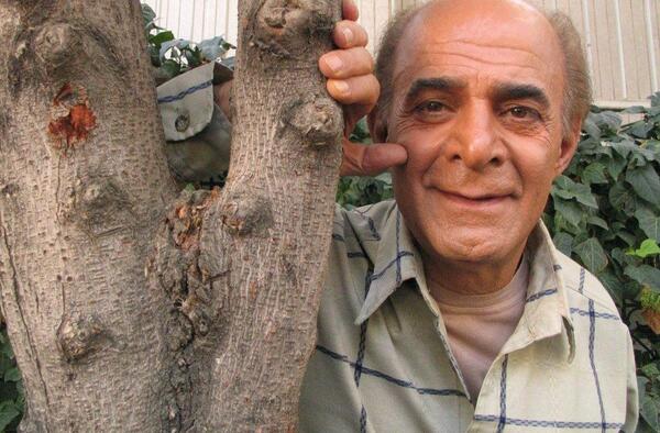 عکس سیروس گرجستانی و همسرش و فرزندش