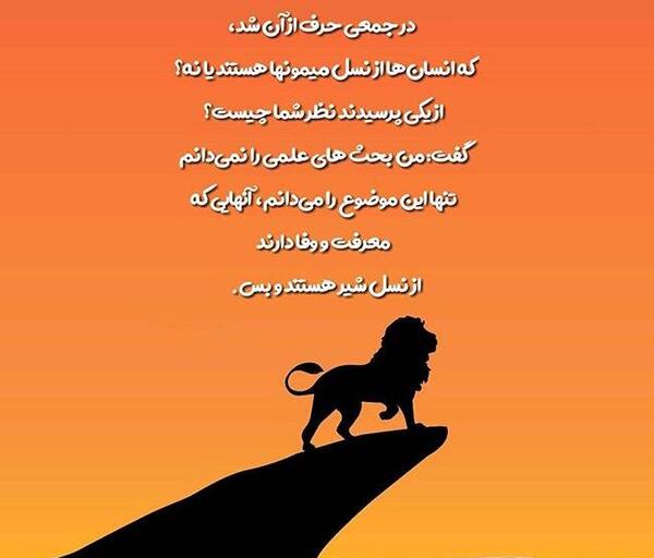 عکس پروفایل شیر تنها