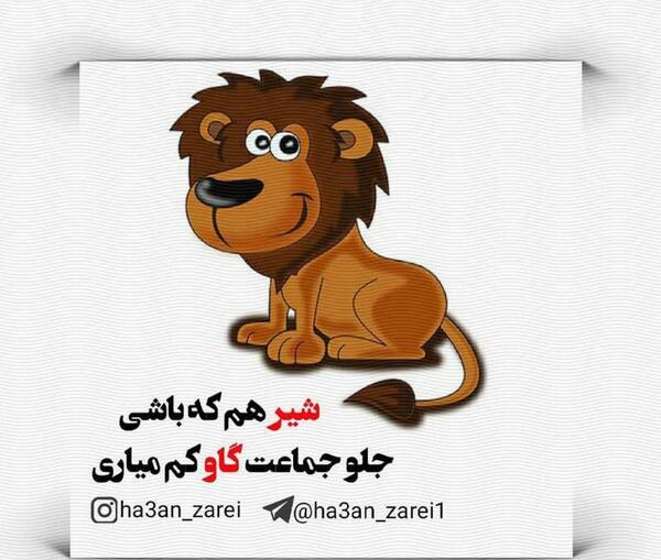 عکس پروفایل شیر تنها