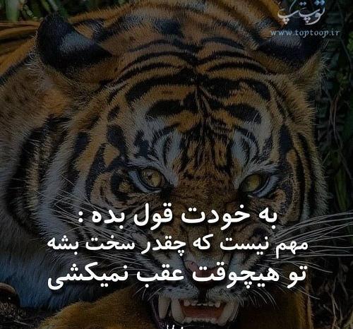عکس پروفایل من به زندگیم قول موفقیت دادم