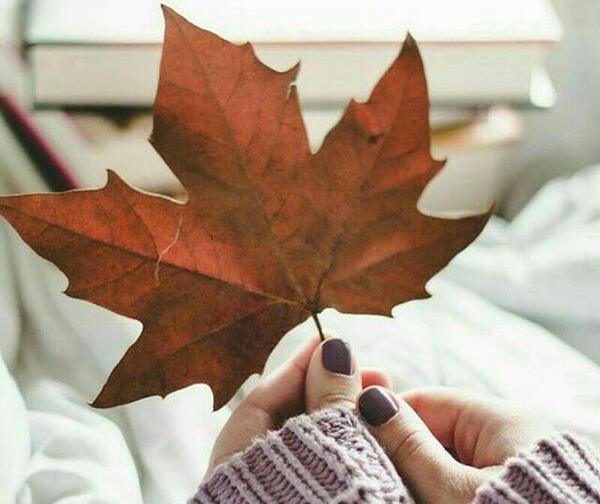 عکس خاص دخترونه پاییزی