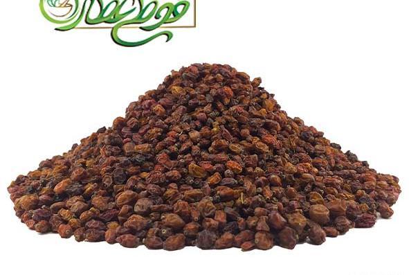 عکس ریشه زرشک کوهی