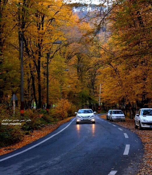 عکس پاییز شمال کشور