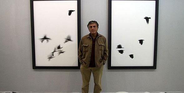 گالری عکس رضا کیانیان