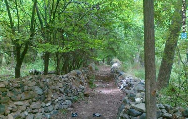 عکسهای دیدنی قم