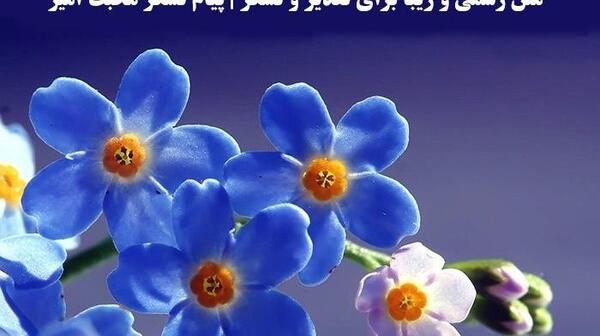 عکس متن زیبا برای اعضای گروه