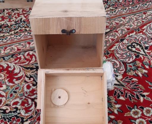 عکس لانه طوطی