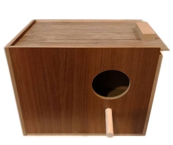 عکس لانه طوطی