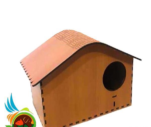 عکس لانه طوطی