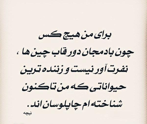 عکس نوشته تیکه دار چاپلوسی