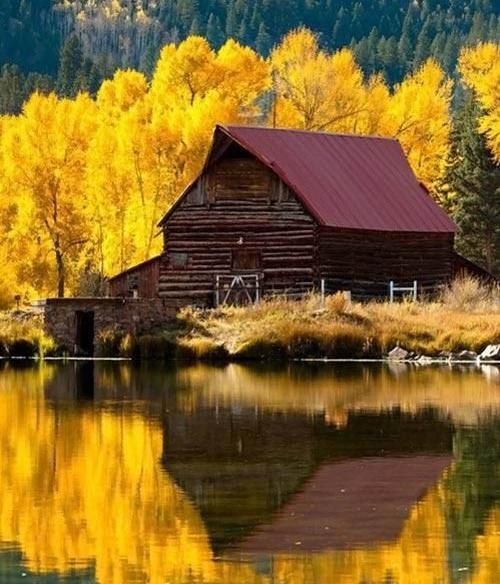 عکس های زیبا خیلی