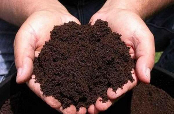 عکس خاک لیمونی