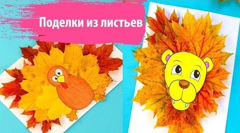 عکس جغد با برگ پاییزی