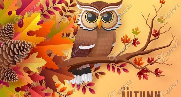 عکس جغد با برگ پاییزی