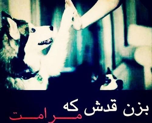 عکس پروفایل رفیق ماندگار باش نه یادگار