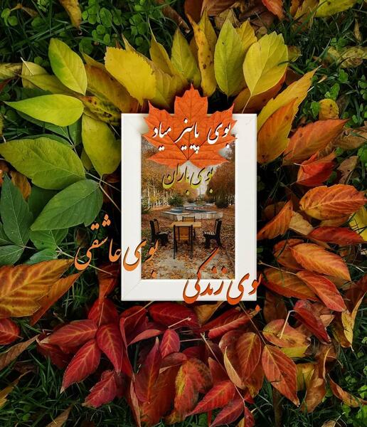 عکس پاییز لاکچری