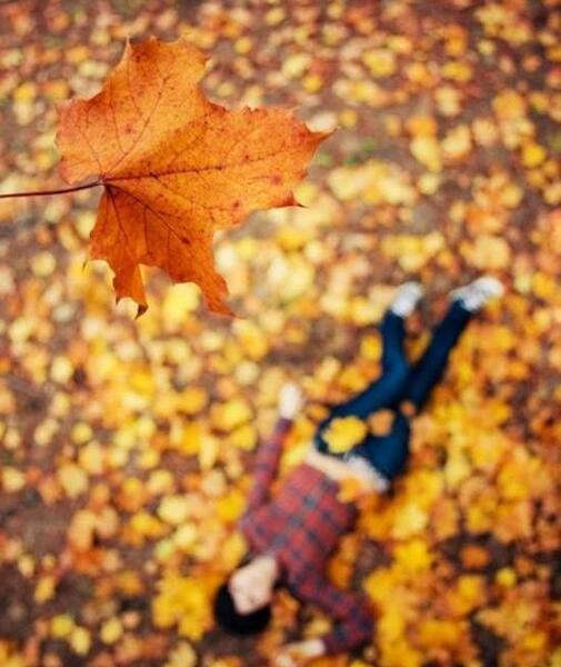 عکس پاییز لاکچری