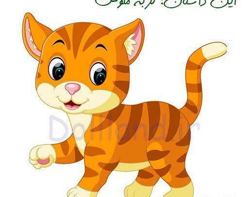 عکس گربه کودکانه