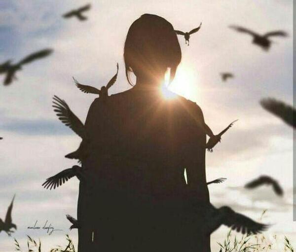 عکس پرنده تنها برای پروفایل