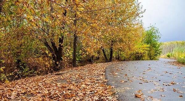 عکس از طبیعت پاییز