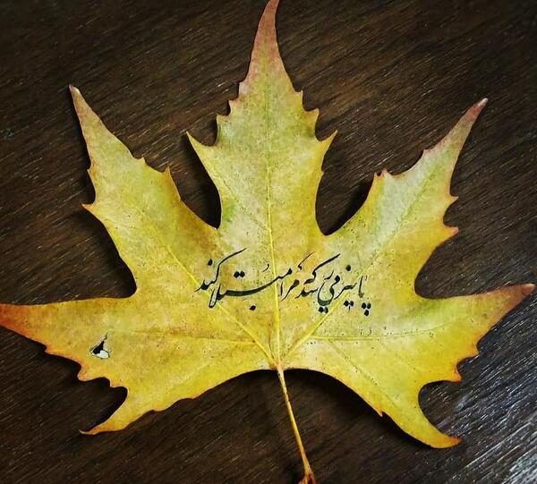 عکس نوشته برگ پاییزی