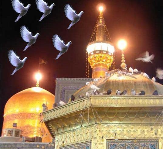 عکس زیبای حرم امام رضا