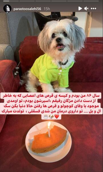 عکس سگ امیر جعفری