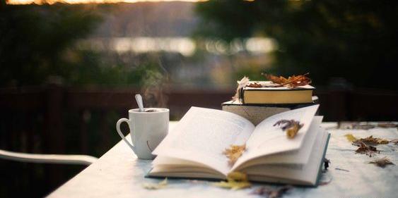 عکس کتاب و برگ پاییزی