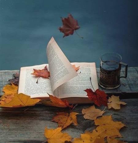 عکس کتاب و برگ پاییزی
