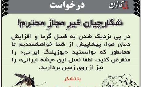 عکس طنز پشه
