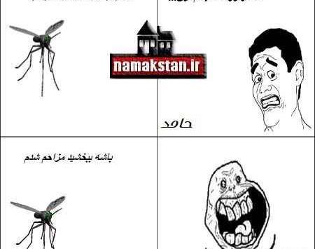 عکس طنز پشه