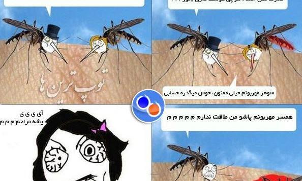 عکس طنز پشه
