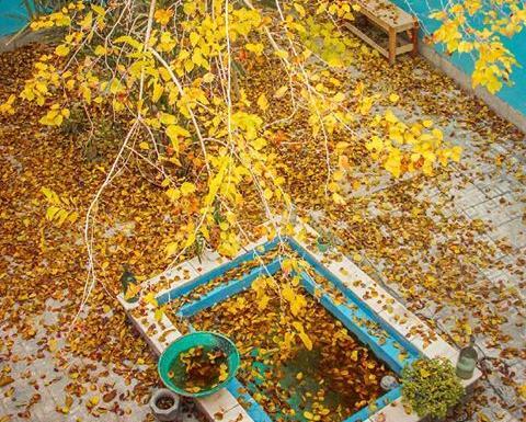 عکس پروفایل پاییز تنهایی