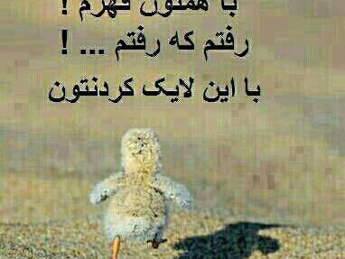 عکس قهر کردم