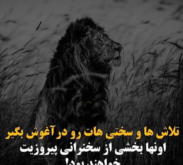 عکس پروفایل موفقیت اینستاگرام