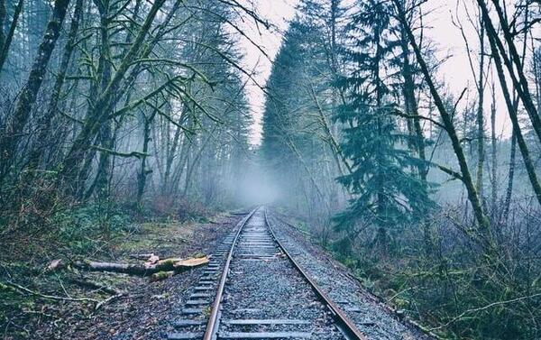 عکس طبیعت برای پروفایل مردانه