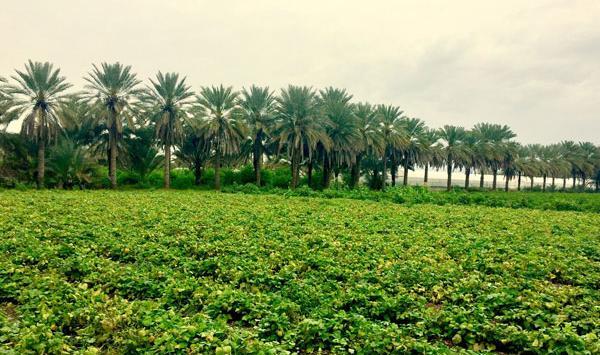 عکس جاهای دیدنی رودان