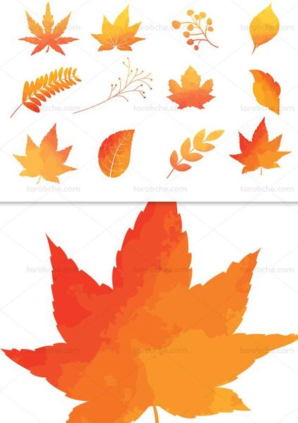 عکس الگوی برگ پاییزی