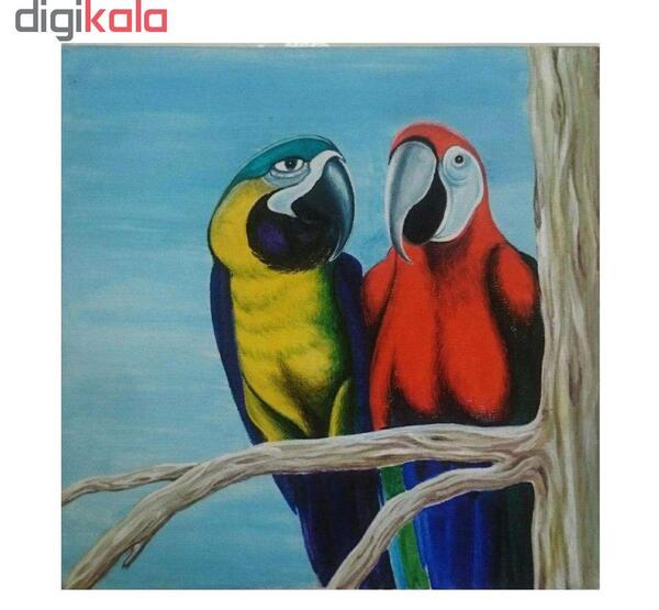 عکس طوطی برای نقاشی