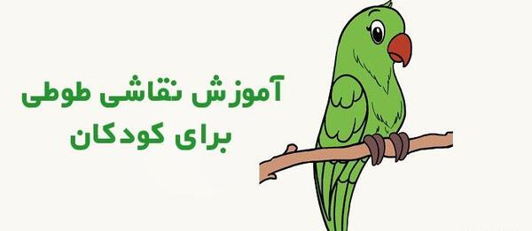 عکس طوطی برای نقاشی