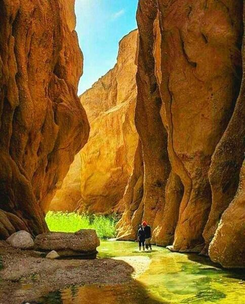 عکس کال جنی طبس