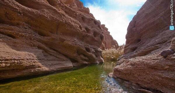 عکس کال جنی طبس