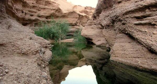 عکس کال جنی طبس