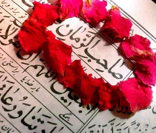 عکس گروه صاحب الزمان