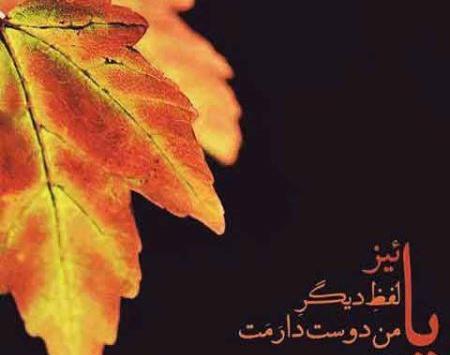 عکس نوشته های زیبا و عاشقانه پاییزی