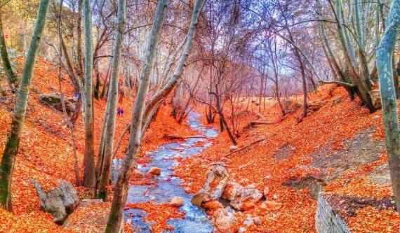 عکس پاییز شهرستان صحنه