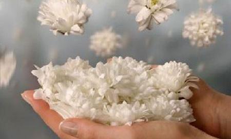 عکس در حال مناجات