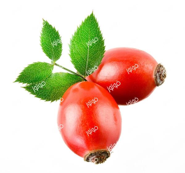 عکس با کیفیت زرشک